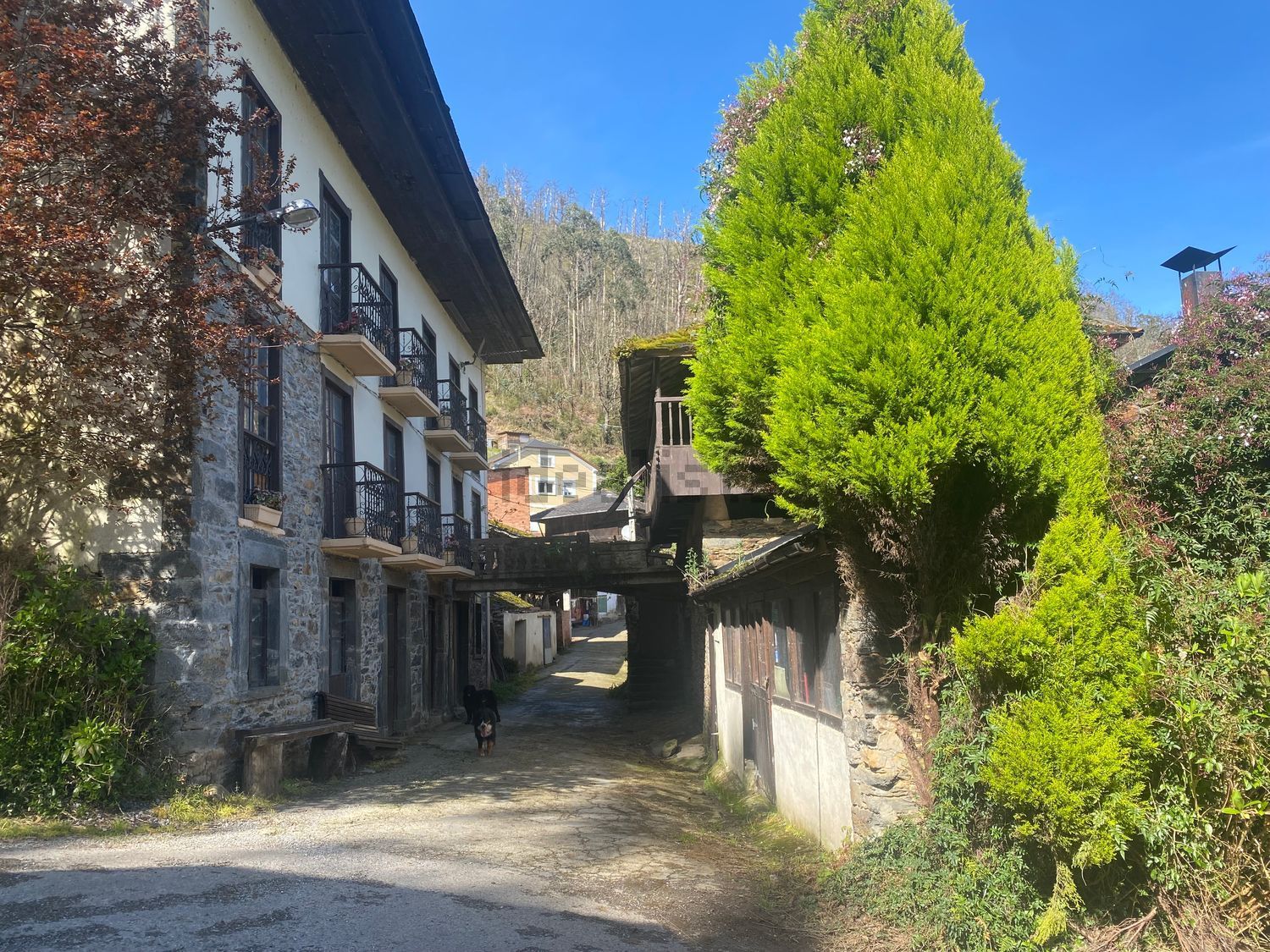 Caserón en venta en Luarca - Valdés